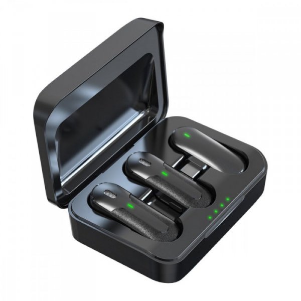 Technaxx Deutschland GmbH & Co. KG Bezprzewodowy mikrofon 2 sztuki TX-301