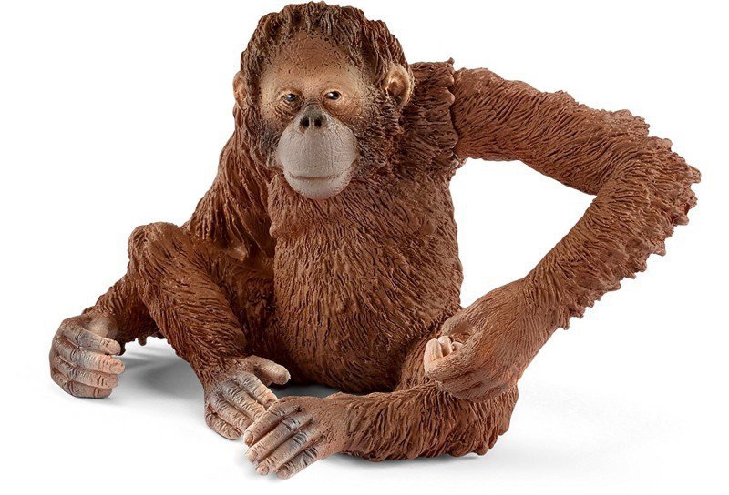 Orangutan Samica [Schleich]