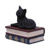 Kot i Książki Salems Spell Nemesis Now - szkatułka z magicznym kotem