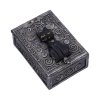 Magiczny Kot Chowaniec Czarownicy - szkatułka na biżuterię Familiar Spell Nemesis Now