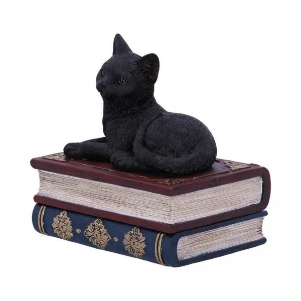 Kot i Książki &quot;Salems Spell&quot; Nemesis Now - szkatułka z magicznym kotem