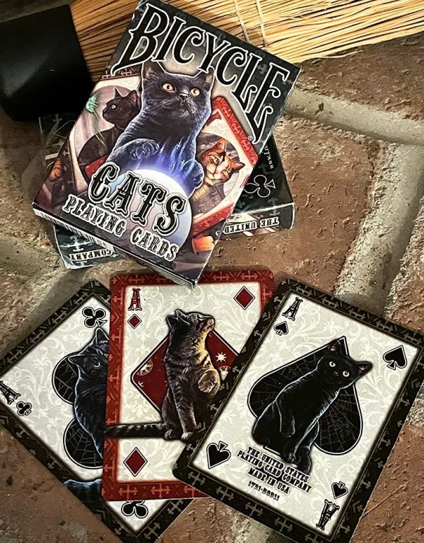 karty klasyczne do gry z kotami, marka Bicycle - Koty &quot;Cats&quot; Lisa Parker