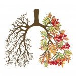Co stosować żeby zregenerować tkankę płucną?