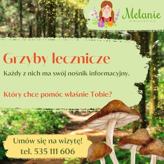 Grzyb lecznicze