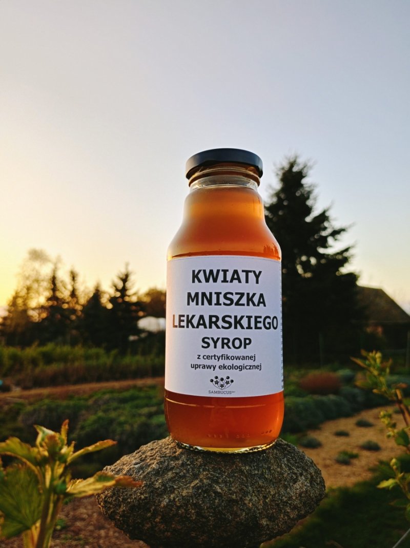 Syrop z Kwiatu Mniszka Lekarskiego 330 ml
