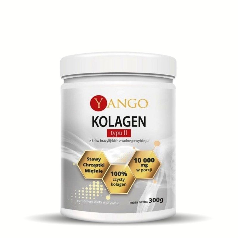 Kolagen Typu II Stawy Chrząstki Mięśnie 300g