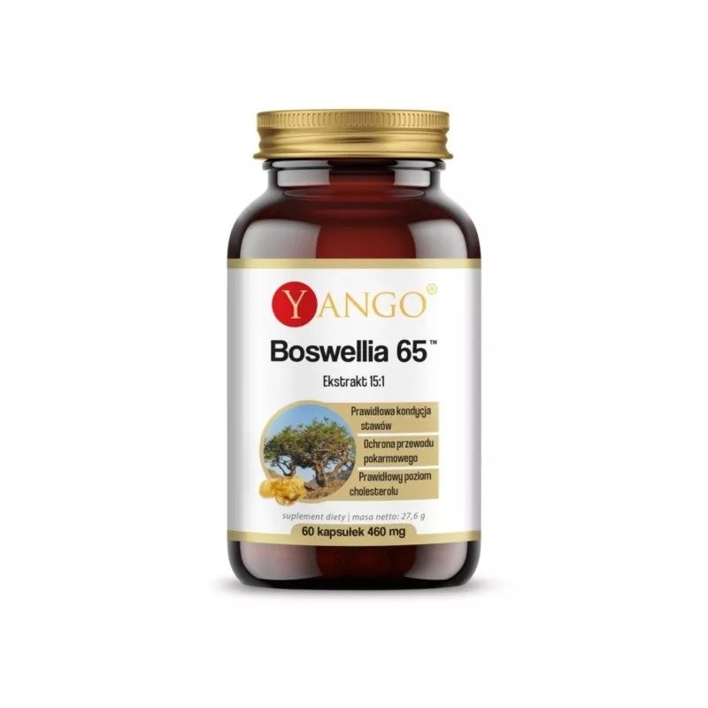 Boswellia 60 kapsułek