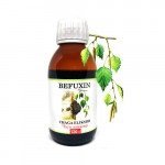 Befuxin Czaga Ekstrakt 120ml