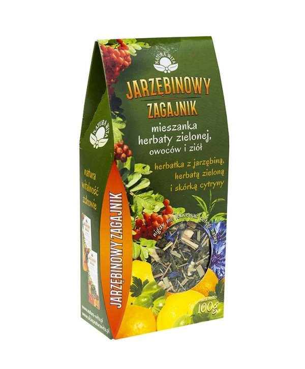 Herbatka Jarzębina z  Herbatą Zieloną i Owocami 100g