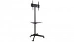 Stojak Mobilny TV LED/LCD 23-55 Cali 25kg 150cm Półka AV