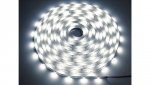 Taśma LED Premium 24V 2835 240d/m 50m 6000k IP20