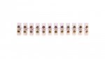 Listwa zaciskowa 12x2,5mm2 PS 2,5 19.2 /10szt./