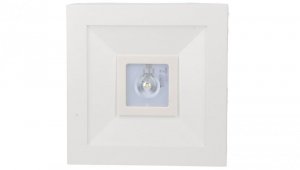 Oprawa awaryjna LOVATO N ECO LED 1W 125lm (opt. otwarta) 3h jednozadaniowa biała LVNO/1W/E/3/SE/AT/WH