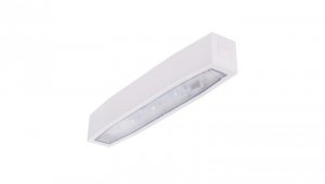 Oprawa awaryjna N/T SUPREMA SO 150 SA 3H IP54 AT 94504 sieciowo-awaryjna natynkowa do stref otwartych AUTOTEST INTELIGHT-94504