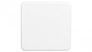 Berker IP44 Klawisz p/t bryzgoszczelne IP44 bialy 53155099