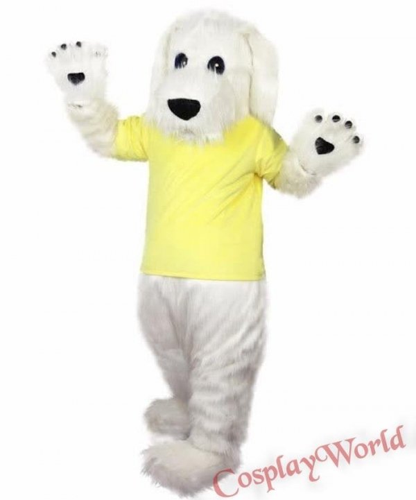 Piesek, biały szczeniaczek w żółtej koszulce