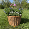 Osłonka na doniczkę Naturalna 30cm - sklep z wiklina - zdjęcie 6