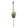 Kwietnik wiszący (Niekorowany/26cm) - sklep z wiklina - zdjęcie