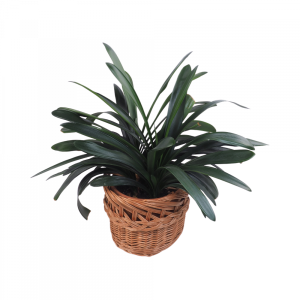 Osłona na donicę Ażurowa Naturalna 38cm - sklep z wiklina - zdjęcie