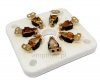 Socket 7pin type1 Gold 813