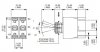 Toggle Switch Apem DPST