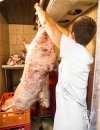 WASSERFESTE SCHÜRZE FÜR KÜHLHÄUSER MODELL 203