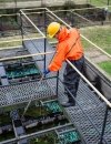 WATERPROOF OVERALLS FOR DRAINING CANAL'S WORKERS WITH PVC SAFETY BOOTS S5 304/K