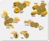 Matryca formująca do maszynki do makaronu CIAO PASTA 2 | regulowana | Trafila sfoglia regolabile | DIE 59_00