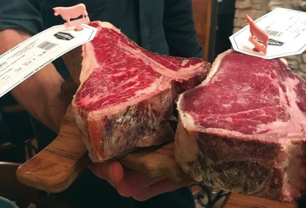 Szafa do sezonowania Klima Aging SYSTEM | ZERNIKE | KAS1500PVB