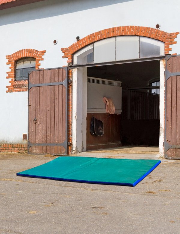 Mata dezynfekcyjna (180x90x3 cm)