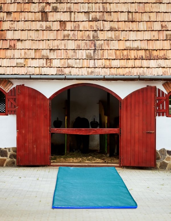 Mata dezynfekcyjna z zamkiem (45x45x4 cm)