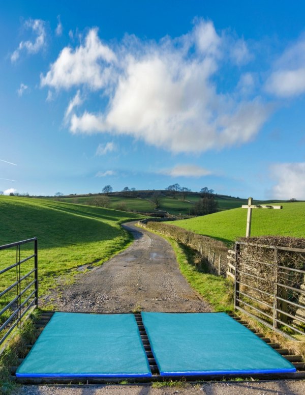 Mata dezynfekcyjna (120x100x3 cm)