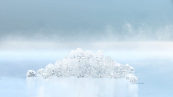 Łuskarka do lodu Hoshizaki FM-600AKE-R452N-SB | 530 kg/24h | chłodzona wodą | bryłki lodu
