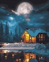 Malowanie Po Numerach Zestaw Leśna Noc 40x50