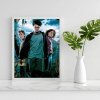 Malowanie Po Numerach Zestaw Harry Potter 40x50