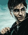 Malowanie Po Numerach Zestaw Harry Potter i Różdżka 40x50