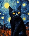 Malowanie Po Numerach Zestaw Nocny kot 40x50