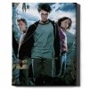 Malowanie Po Numerach Zestaw Harry Potter 40x50
