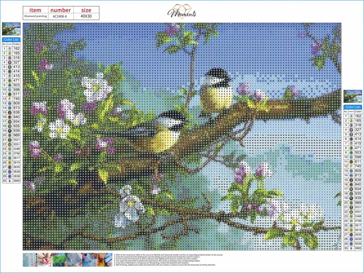 Haft Diamentowy Poranna Melodia 30x40 cm