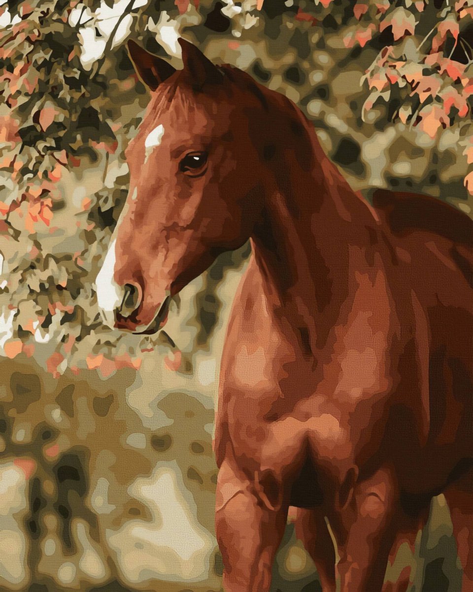 Malowanie Po Numerach Zestaw Koń w Ogrodzie 40x50