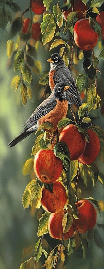 Haft Diamentowy Owocowe Sikorki 50x110 cm