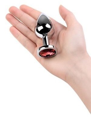 Metal Silver klasyczna mała wtyczka analna z czerwonym kryształkiem na ręce