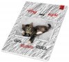 Zeszyt A5 16k 3 linie kolorowe 70g Best friend, Bee-Bee