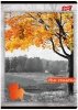 Zeszyt A5 80 k. linia laminowany Tropical, Unipap