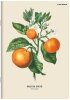 Zeszyt A5 60 k. kratka 70g Summer, Top-2000