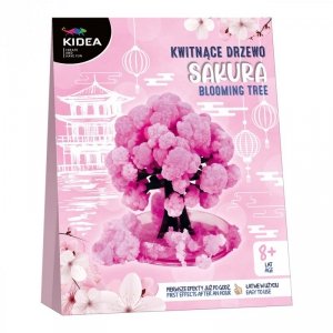 Kwitnące drzewo sakura Kidea