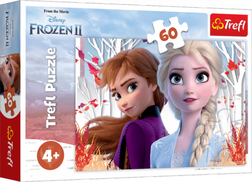 Puzzle 60 Zaczarowany świat Anny i Elsy Frozen 2 17333