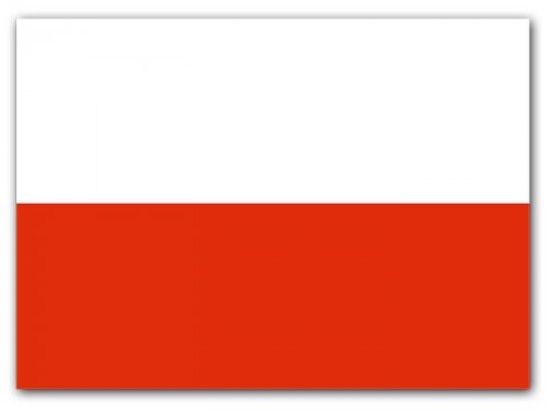 Chorągiewka Polski 20szt.