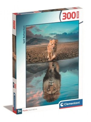 Puzzle  300 Super Self Reflection 21719