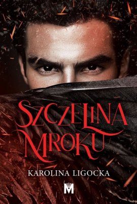 Szczelina mroku